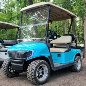2010 E-Z-GO RXV